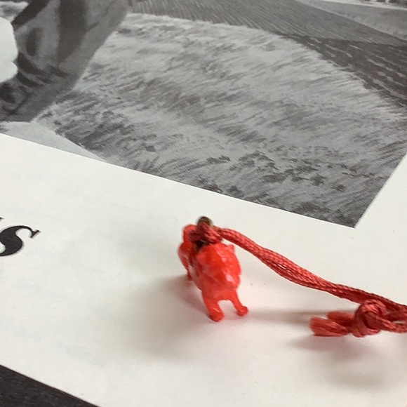 VINTAGE 1940’s CRACKER JACK CELLULOID PRIZES,SET 3. 1 Ram 1 Chili Pepper 1 Bird - Picture 4 of 9